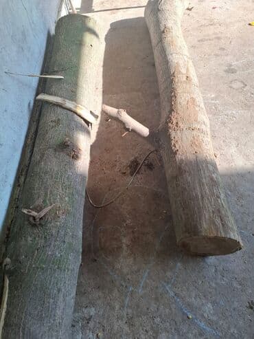 МДФ: ПРОДАЁТСЯ БРЕВНО ОРЕХА. ЦЕНА ДОГОВОРНАЯ Продаются бревна грецкого — 3