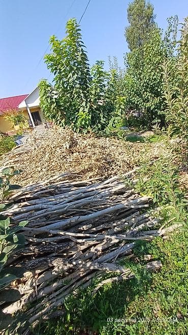 Пожарное оборудование: Дрова Тополь, Самовывоз — 3