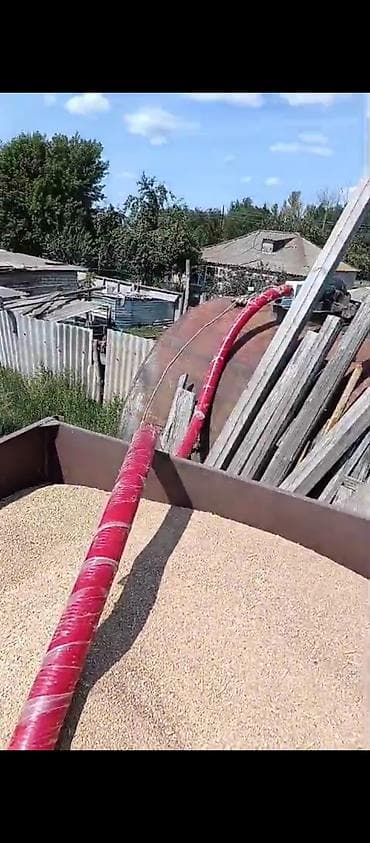 домкрат портер: Зерновой пневмо‑шнек (зернотаска) с электроприводом Назначение: - — 4