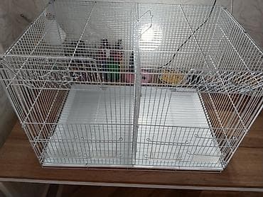Продам двух местную клетку,ХОРОШЕЕ СОСТОЯНИЕ!!! большая,с кормушками