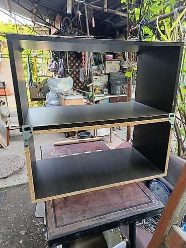 Кемирүүчүлөр: Полочки — 1