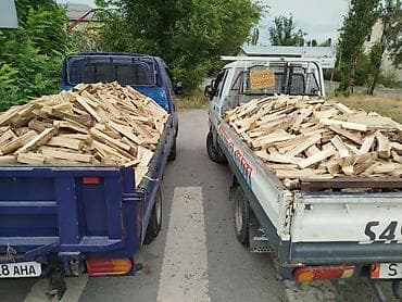 кол саат: Отун Мөмө жыгачы, Акысыз жеткирүү — 1
