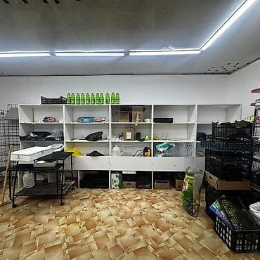 балыкчы пляж: Торговое оборудование для магазина Полка для магазина Тут 2 полки 1) — 1