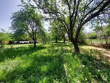 ысык куле: 5 соток, Курулуш, Кызыл китеп — 1