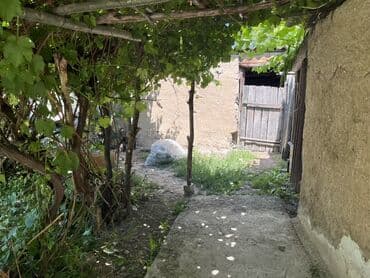 участок дом село кок жар: Дом, 25000 м², 5 комнат, Собственник, Старый ремонт — 8