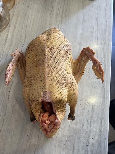 Услуги ветеринара: Утка — 1