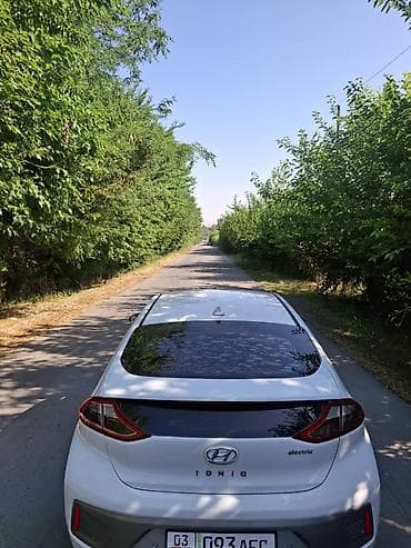 спинка: Hyundai Ioniq: 2017 г., Автомат, Электромобиль, Хэтчбэк — 10