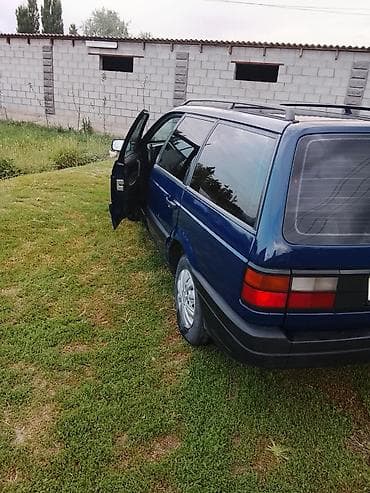 пороги црв: Volkswagen Passat Variant: 1993 г. — 2