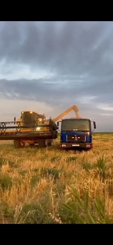 Транспорт: Комбайн зерноуборочный New Holland tc56 Состояние отличное без — 6