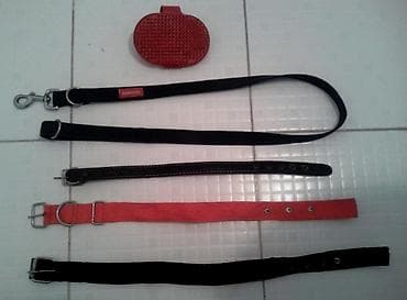 Аквариумдар: Аксессуары для щенка или собаки. 1. Хороший качественный поводок. С — 1