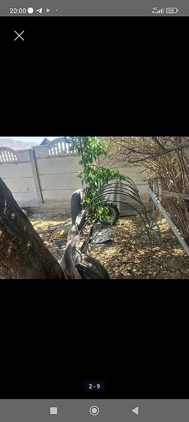 гак айон с: Трактор МТЗ-82 “Беларус Асолом алекум жамат трактордун шаймандар — 4