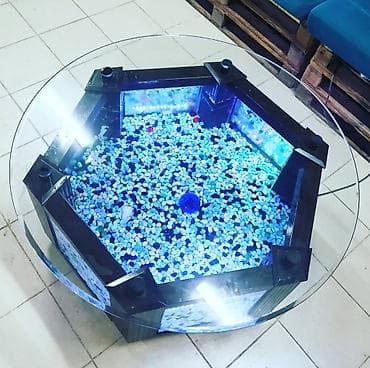 аквариум с рыбками цена бишкек: Аквариумный столик/тумба с панорамным остеклением. - Форма — 1