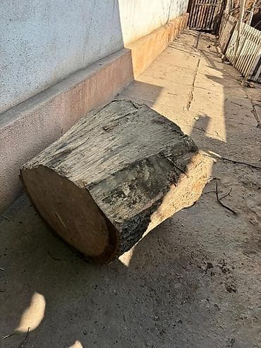 лес: Продам массивную заготовку из цельного ствола дерева. Характеристики — 2