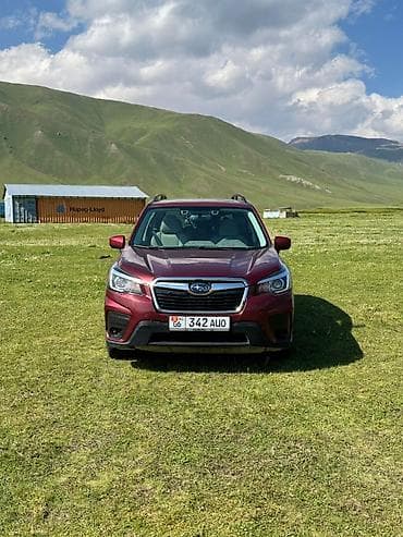 Продажа авто: Subaru Forester: 2020 г., Автомат, Бензин, Кроссовер — 2