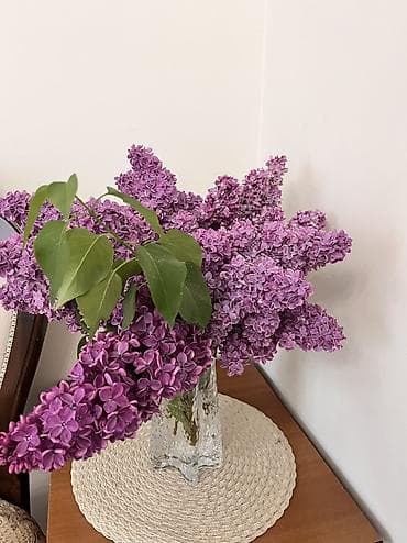 Ищу работу на лето (на 2-3 месяца) Возможные вакансии: няня (1-2