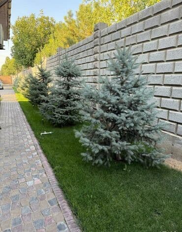 коттедж иссык куль каприз: Коттедж, 90 м², 3 комнаты, Собственник, Дизайнерский ремонт — 1