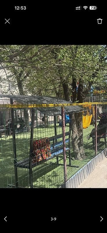 комн: 10 м², Без мебели — 8