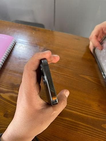 пылесос с влажной уборкой бишкек: IPhone 13 Pro, Графит, Чехол, 83 % — 8