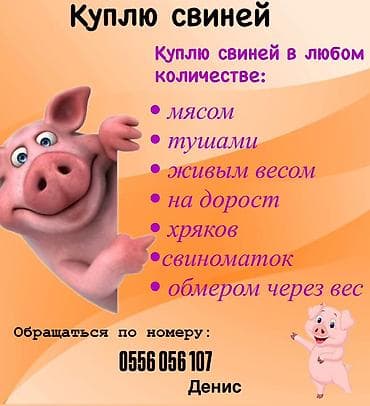 рыбхоз купить малька: Куплю свиней мясом тушами,вынуждены забой, хряков, на дорост — 1