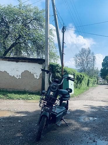 Транспорт: Электровелосипед — 4