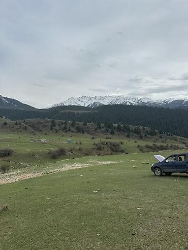 село канстантиновка дом: 15 соток, Для бизнеса, Красная книга — 6