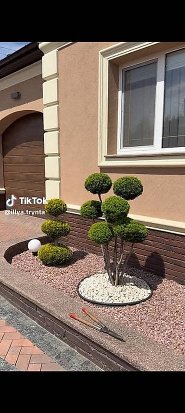 книжки сказки: Уборка территории — 7