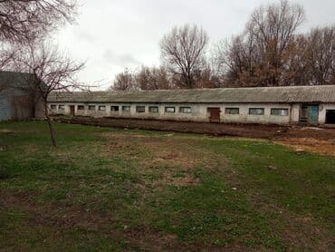 продаю дом шербакова: 77 соток, Электричество, Скважина, Холодная вода — 2