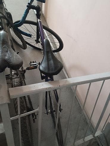 forward apache: Шоссейный велосипед, Tsunami, Рама L (172 - 185 см) — 2