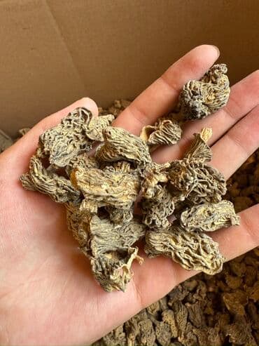 соусы для шаурмы: Грибы Самовывоз, Бесплатная доставка, Платная доставка — 1