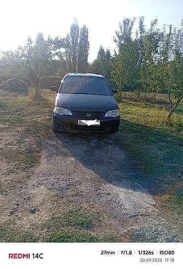 dodge caravan: Honda Odyssey: 2001 г., 2.3 л, Бензин, Минивэн — 2