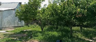 продаю дом тец: Бишкектин Ленин районундагы ТЭЦ-2 конушунан 4 болмолуу уй сатылат — 2