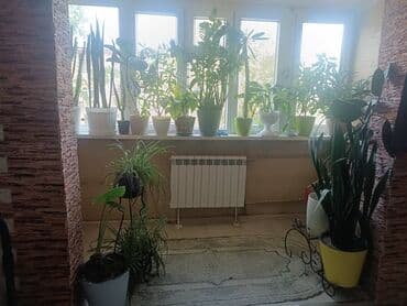 3 комнатная квартира продаётся: 3 комнаты, 68 м², 103 серия, 3 этаж, Косметический ремонт — 6