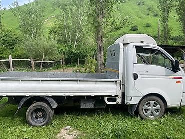 перья: Легкий грузовик, Hyundai, Дубль, До 1 т — 4