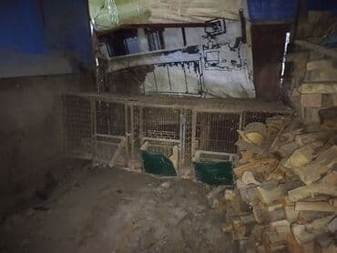 продам домик для кошки: Клетки для животных из металлической сетки, подходящие для содержания — 3