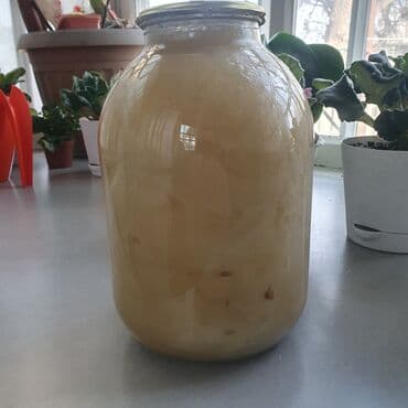 баночки для меда бишкек: Мёд со своей пасеки . только оптом — 2