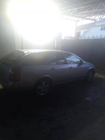 Иттер сатылат: Немис овчаркасы, 4 жаш, Ургаачы, Эмделген — 3