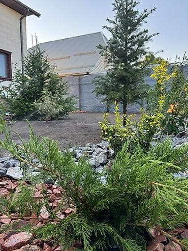 Газон: Ландшафтное благоустройство под🔑 Системы автоматического полива💦 — 4