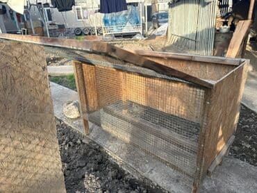 где можно купить молодых кур несушек: Циплятник 
Бродер 
Жалал-Абад 
Пугачева 27 — 3