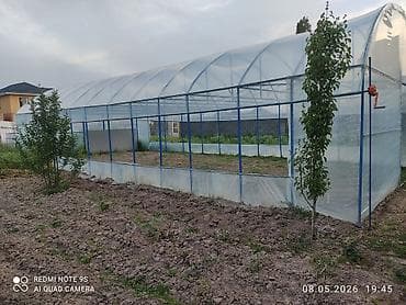 Теплица туннельного типа из прозрачной армированной плёнки на