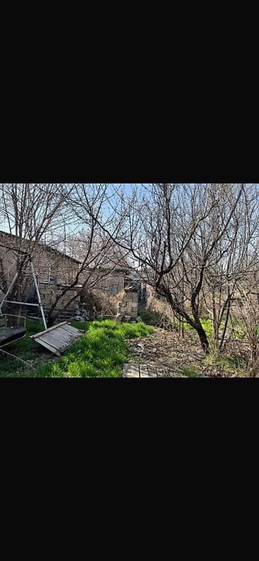 Дома: 🏡 СРОЧНО ПРОДАЕТСЯ ДОМ С УЧАСТКОМ 📍 с. Восток, ул. Спортивная, 4 💰 — 6