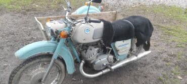 электротрицикл бишкек: Багажниги Иж — 8