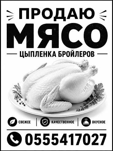 бройдер: Мясо цыплёнка-бройлера. - Свежие тушки бройлеров, аккуратно очищенные — 1