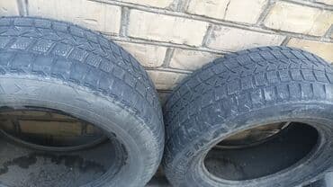 шины 17 размера: Шины зимние — 2