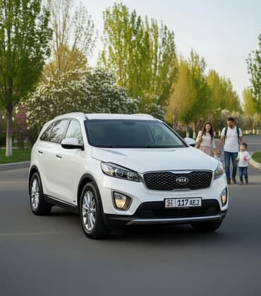 набор ключей для автомобиля в чемодане: Kia Sorento: 2017 г., 2 л, Автомат, Дизель, Кроссовер — 1