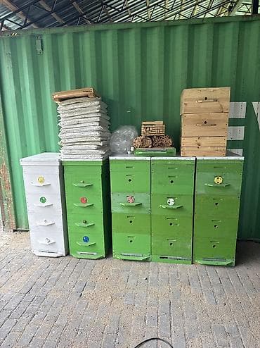 купить пасеку: Пчелоинвентарь и комплектующие для ульев Продаю 3 улья(10-рамочные — 5