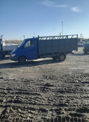 корм для домашних животных: Жом — 1