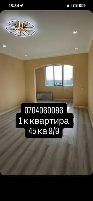 real sight: 1 комната, 45 м², 106 серия улучшенная, 9 этаж, Евроремонт — 1