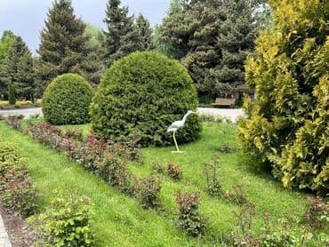 куплю дом в беловодский: Аренда коттеджей 150 м до пляжа Бульвар роз Есть все для комфортного — 22