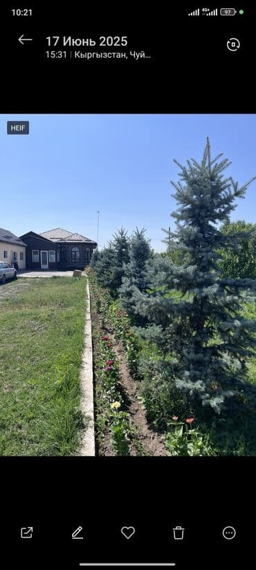 продажа дом бишкек: Дача, 140 м², 4 комнаты, Агентство недвижимости, Евроремонт — 4