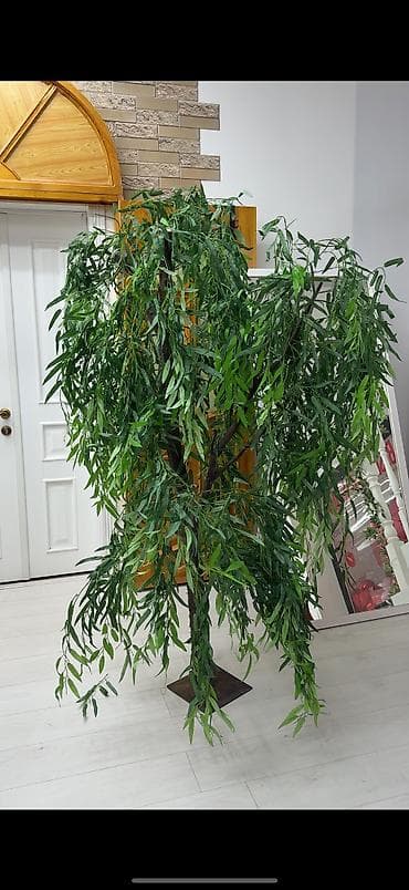 искусственные дерево: Самовывоз — 1